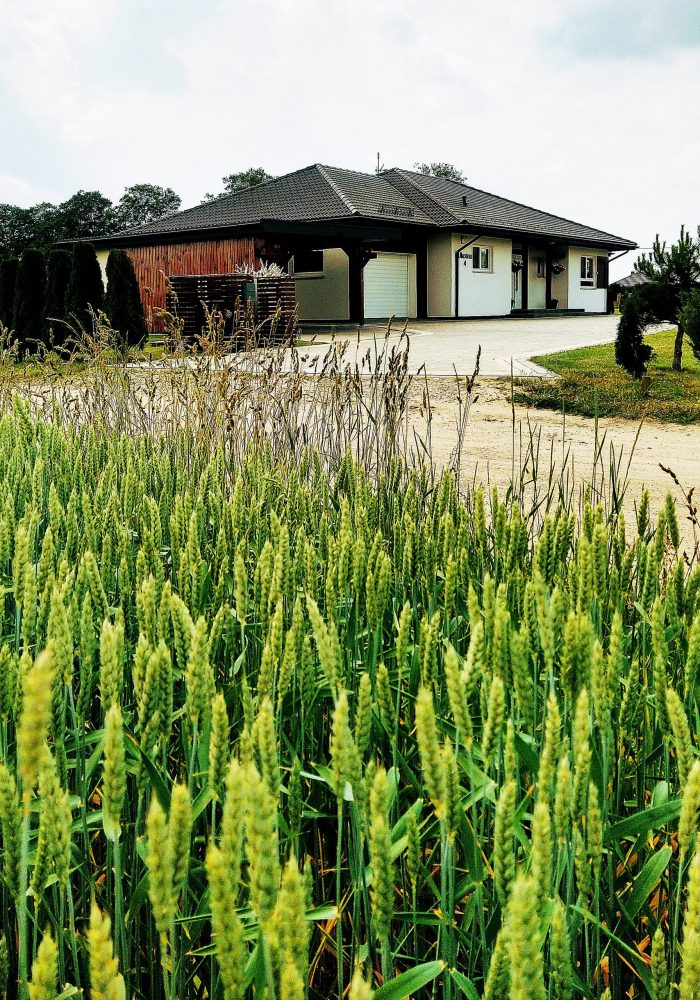 Bungalow